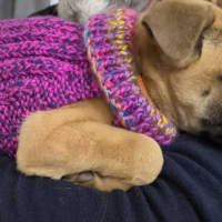 Photo of Java