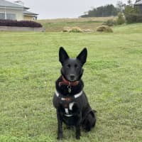 Photo of Woorrill