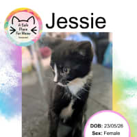 Photo of Jessie