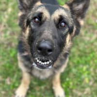 Photo of Maggie