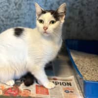 Photo of Tabitha