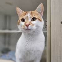Photo of George