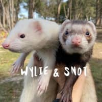 Photo of Wylie & Snot