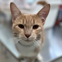 Photo of Floyd (0203)