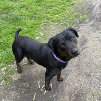 Photo of Lucy