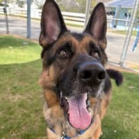 Photo of Kaiser