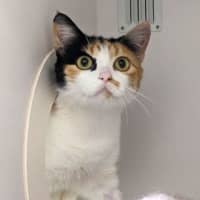Photo of Mildred