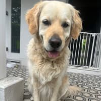 Photo of Digger