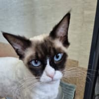 Photo of C Montgomery Burns