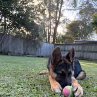 Photo of Grady