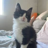 Photo of Bear Sanderson