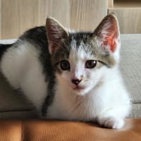 Photo of Raymond