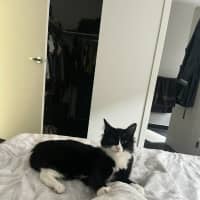 Photo of Annabel