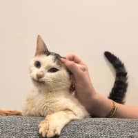 Photo of Winnie