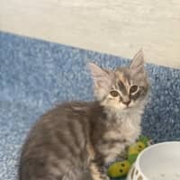 Photo of Princess