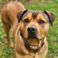 Photo of 👑 King 6259 👑