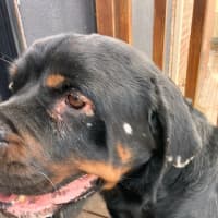 Photo of Zeus