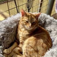 Photo of Gary & Chip   Your Best Friends 