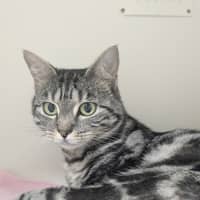 Photo of 💫 Marnie 6898 💫