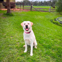 Photo of Happy