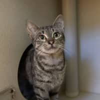 Photo of Coco