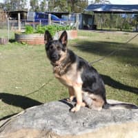 Photo of Bessy