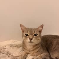 Photo of Patty