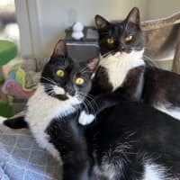 Photo of Peppa & Tabitha