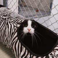 Photo of Jasper Picton