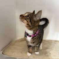 Photo of Vader & Weasley 