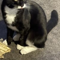 Photo of Bolly
