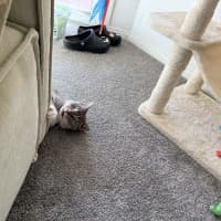 Photo of Thunda