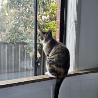 Photo of Sophie