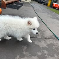 Photo of Cotton & Cloud