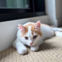 Photo of Butter