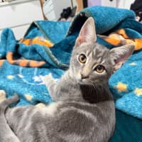 Photo of Morty