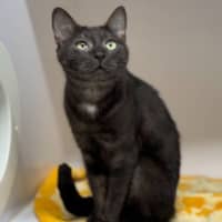 Photo of Alice