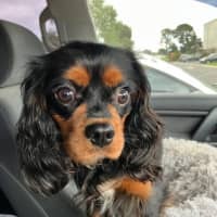 Photo of Walter Quinnell