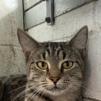 Photo of Narla