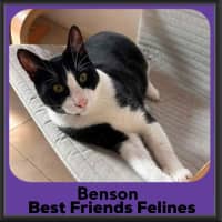 Photo of Benson 