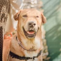 Photo of Ted