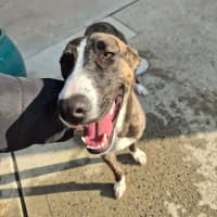Photo of Whippy! 🦌