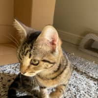 Photo of Aggy