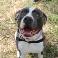 Photo of Missy