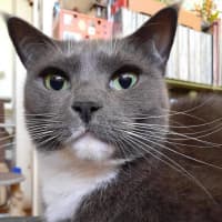 Photo of Tommy And Sammy