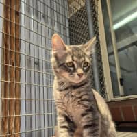 Photo of Winter! ❄️