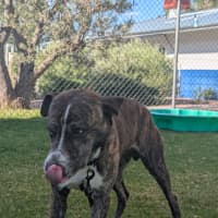 Photo of Lenny (Yeti)