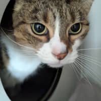 Photo of Hazel