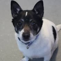 Photo of Tommy