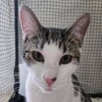 Photo of Juni